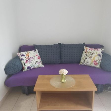 Apartment Savic Starigrad Paklenica Exteriör bild